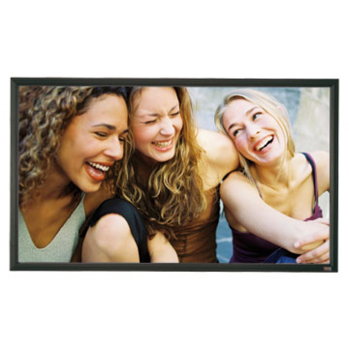 Hypervisuals Grandview Flocked Frame Screen - 100" 16:9 Projector Screens