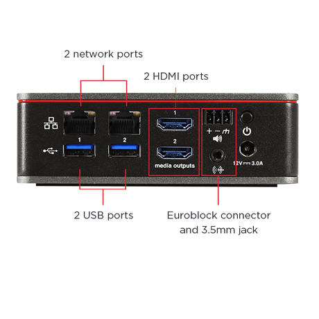 Biamp Crowd Mic Connections